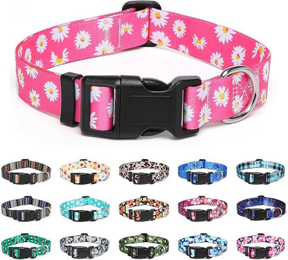 Adjustable Dog Collar with Patterns