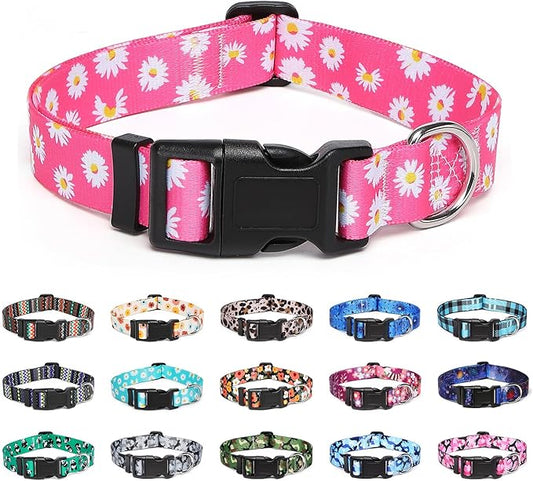 Adjustable Dog Collar with Patterns