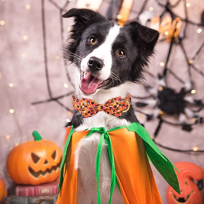 ARING PET Halloween Dog Collar