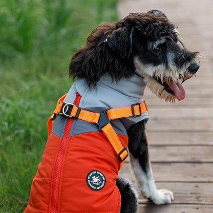 Norbi Dog Winter Coat 2 in 1 Dog