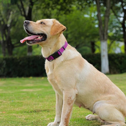 Waterproof Dog Collar 9.5-14.1 inch)