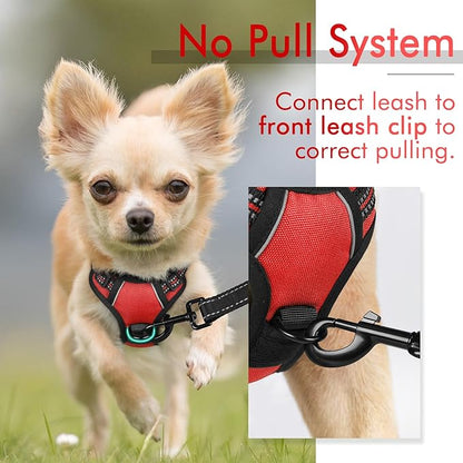 rabbitgoo Dog Harness 2 Leash