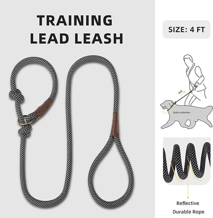 Mile High Life Slip Leads for Dogs 4 Feet