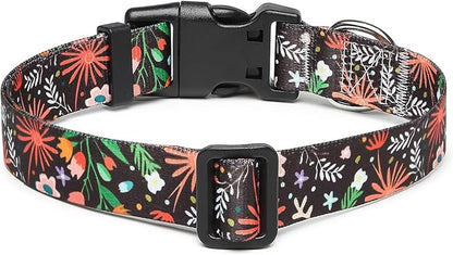 Adjustable Dog Collar with Patterns