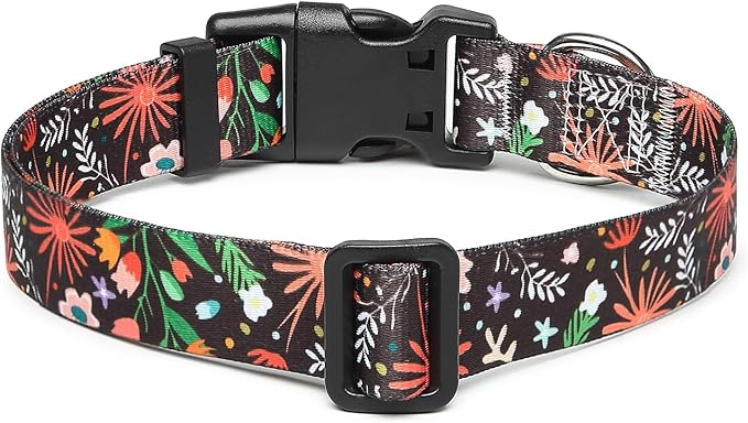 Adjustable Dog Collar with Patterns