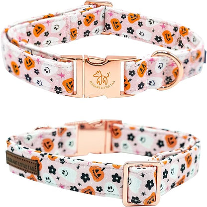Elegant little tail Fall Dog Collar