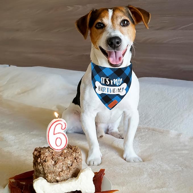 PTDECOR Dog Birthday Party Supplies