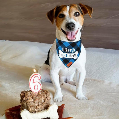 PTDECOR Dog Birthday Party Supplies