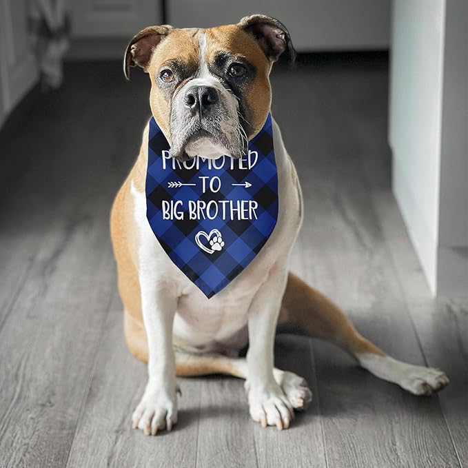 Promoted to Big Brother Dog Bandana Gender Reveal