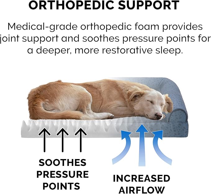 Furhaven Orthopedic Dog Bed for Medium/Small Dogs w/ Removable Bolsters & Washable Cover 35 lbs
