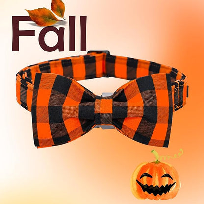 Lionheart glory Dog Collar Fall Dog Collars