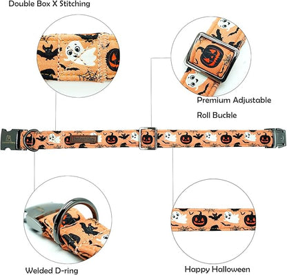 Lionheart glory Dog Collars Fall Halloween Pumpkin Collar