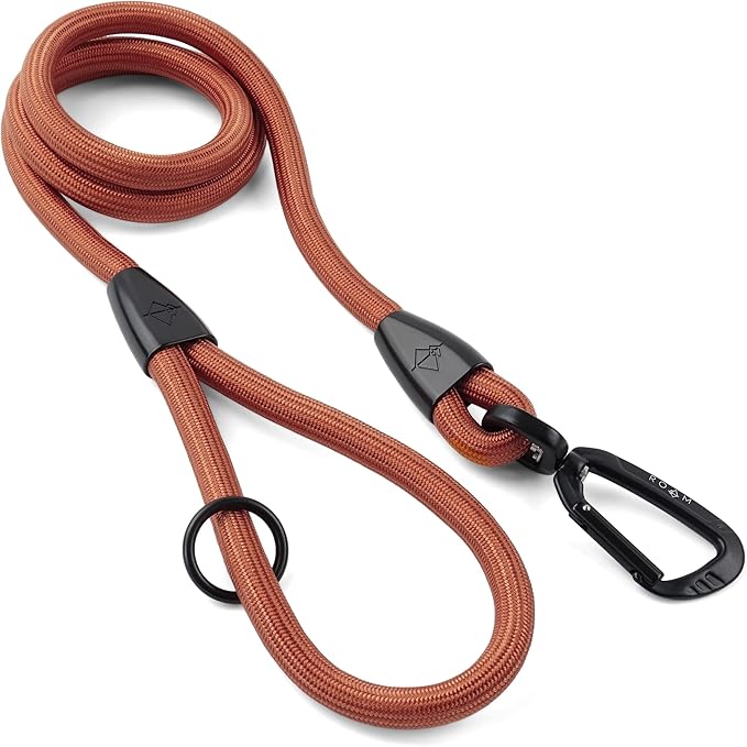 MADE TO ROAM Premium Everyday Leash 6ft (Rubber