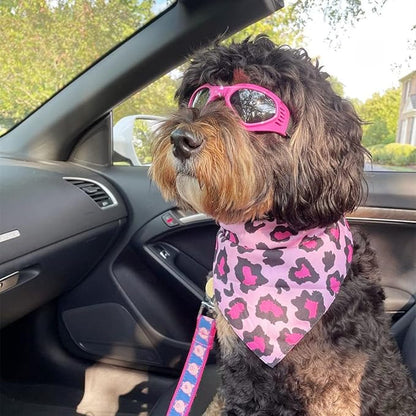 NAMSAN Dog Sunglasses Medium Breed UV Protection Dog Goggles for Small to Medium Dogs Windproof Anti-fog Snowproof Puppy Glasses