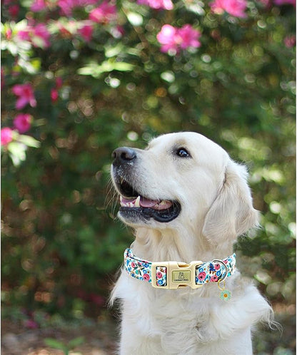 Lionheart glory Dog Collar Flowers Print Dogs Collar