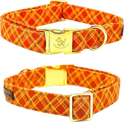 Elegant little tail Fall Dog Collar