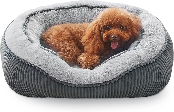 SIWA MARY Dog Beds for Small Medium Large Dogs & Cats. Washable Pet Bed