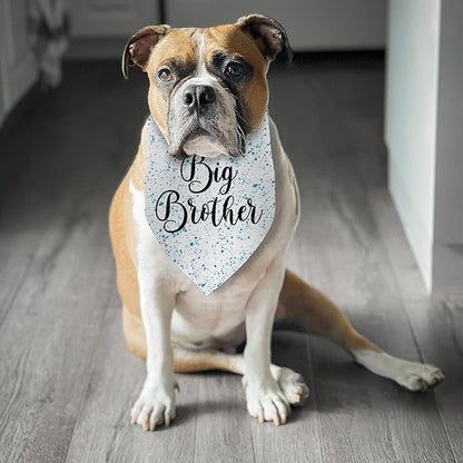Big Brother Dog Bandanas Gender Reveal Pregnancy Announcement