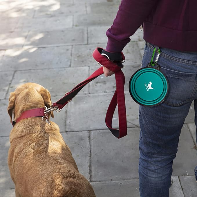 Rest-Eazzzy Collapsible Dog Bowls for Travel, 2-Pack Dog Portable Water Bowl for Dogs Cats Pet Foldable Feeding Watering Dish for Traveling Camping Walking with 2 Carabiners, BPA Free