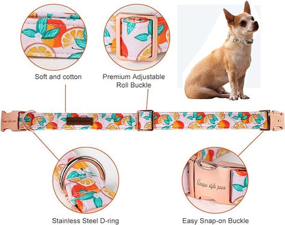 Unique style paws Dog Collar Metal Buckle Collar