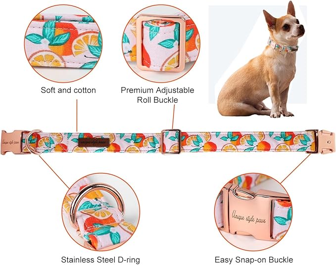 Unique style paws Dog Collar Metal Buckle Collar