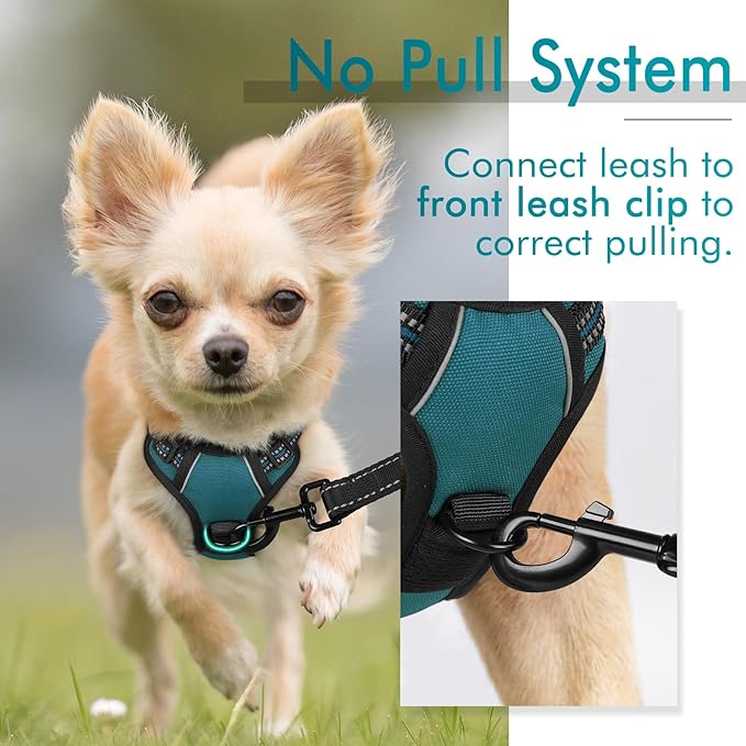 rabbitgoo Dog Harness, No-Pull Pet Harness with 2 Leash Clips, Adjustable Soft Padded Dog Vest, Reflective No-Choke Pet Oxford Vest with Easy Control Handle for Small Dogs, Blue Coral, XS