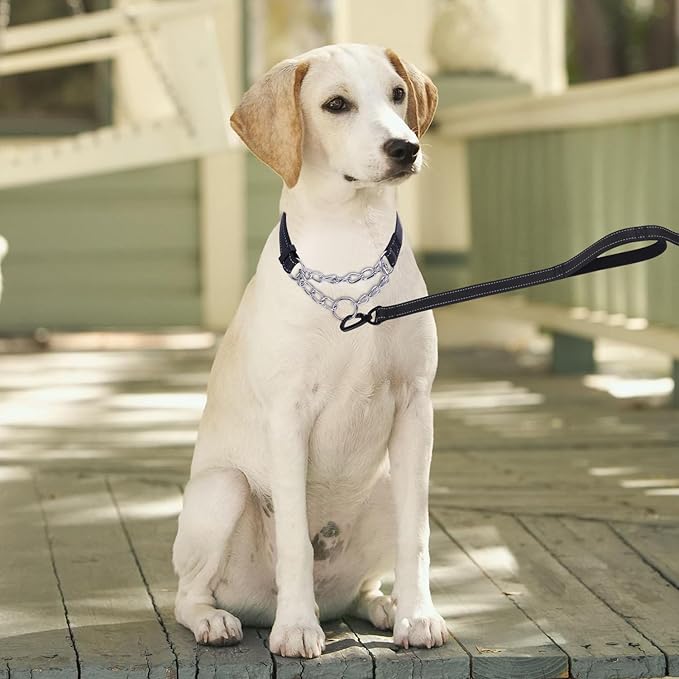 Martingale Dog Collar with Stainless Steel Chain and Leash Set 5FT Double