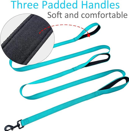 3 Handle Dog Leash 10FT Triple