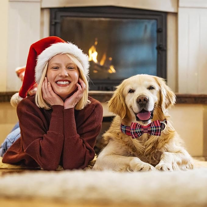 Christmas Day Dog Collar with Bow Red Green
