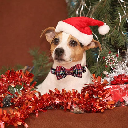 Christmas Day Dog Collar with Bow Red Green