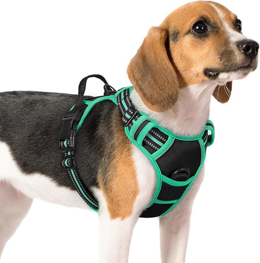 rabbitgoo Dog Harness, No-Pull Pet Harness with 2 Leash Clips, Adjustable Soft Padded Dog Vest, Reflective No-Choke Pet Oxford Vest with Easy Control Handle for Large Dogs, Black & Turquoise, M