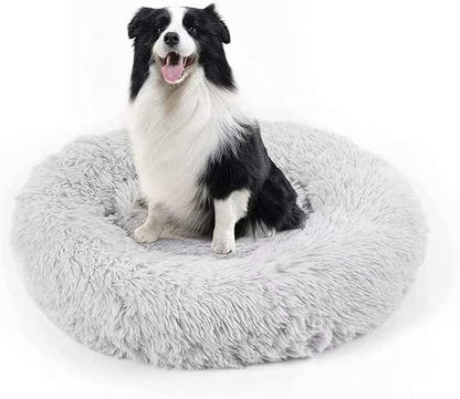 Dog Bed