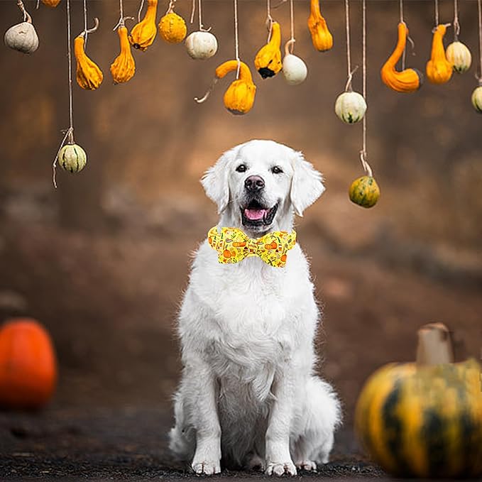 Lionheart glory Fall Dog Collar with Bowtie Halloween Pumpkin Dog Collars Bow Tie Heavy Soft Adjustable Collar for Medium Dogs Thanksgiving Day Dog Bow Collar Pet Gift