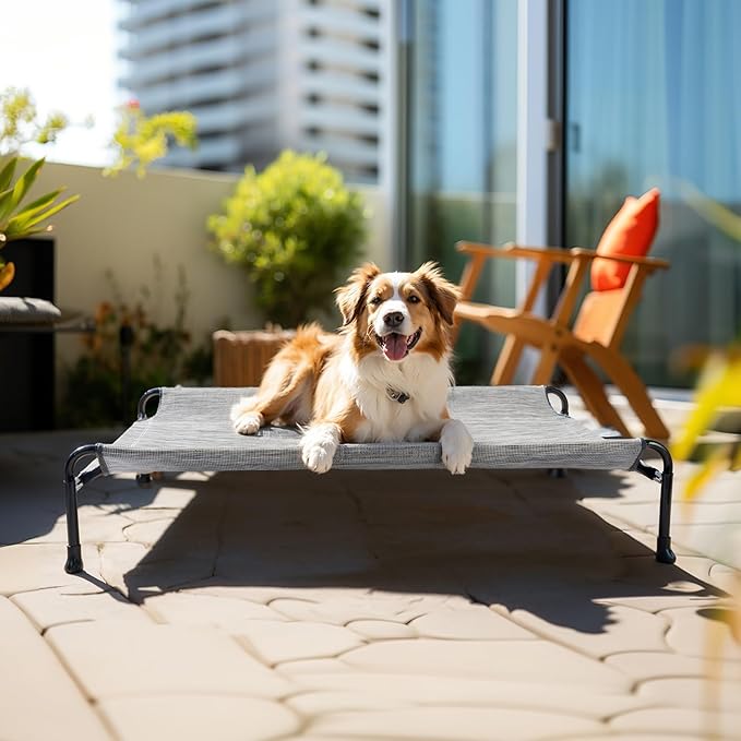 Veehoo Cooling Elevated Dog Bed CWC2404