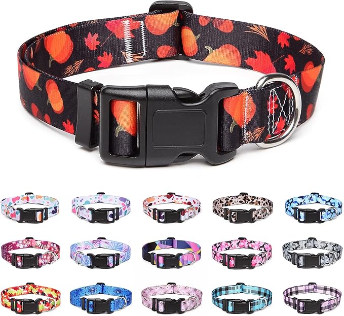 Adjustable Dog Collar with Patterns