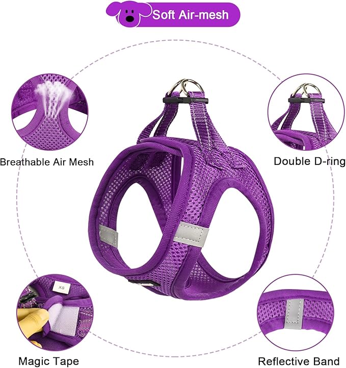 YIMEIS Dog Harness and Leash Set 1)