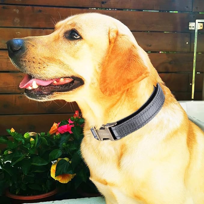 CHEDE Reflective Dog Collar