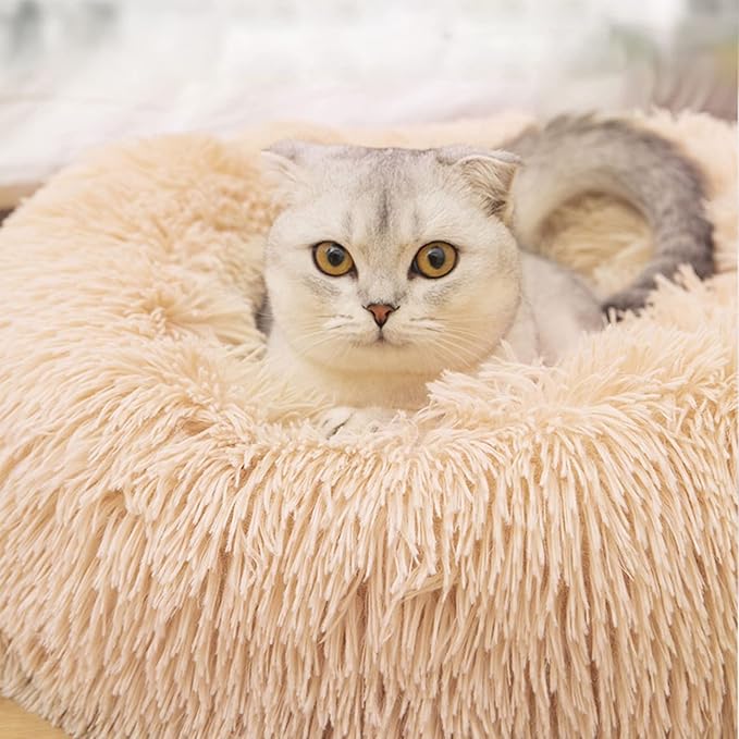 Nisrada Cat Beds for Indoor Cats 24 Inch