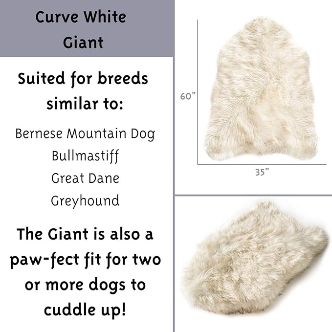 PupRug Orthopedic Dog Bed for Large Dogs with Fluffy Soft Faux Fur and Memory Foam for Joint Pain Relief