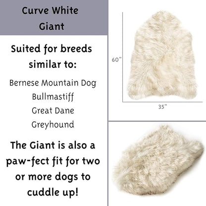 PupRug Orthopedic Dog Bed for Large Dogs with Fluffy Soft Faux Fur and Memory Foam for Joint Pain Relief