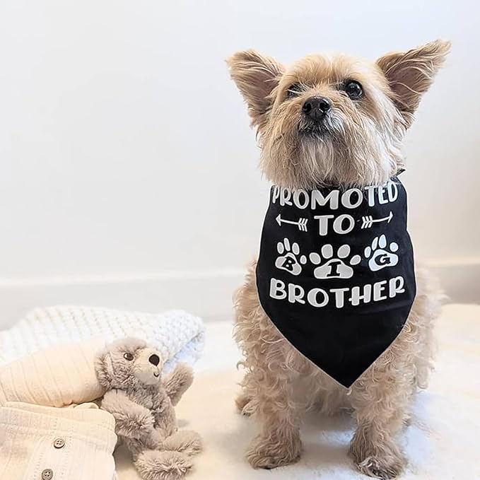 Blank Dog Bandanas Medium-3PCS