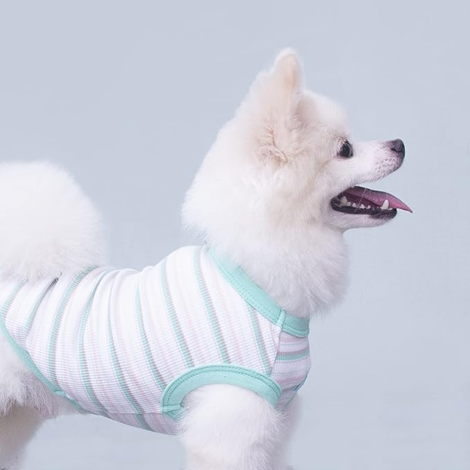 Striped Teacup Pet Dog T-Shirts 100% Cotton 3X-Small
