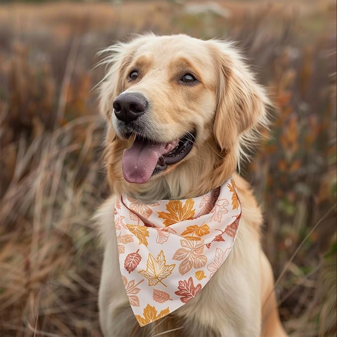 Fall Dog Bandana 2 Pack Thanksgiving Dog Bandana Leaf Pet Scarf Reversible Fall Triangle Bibs Soft Cotton Boy Girl Dog Bandanas for Small, Medium, Large Dogs (Small)