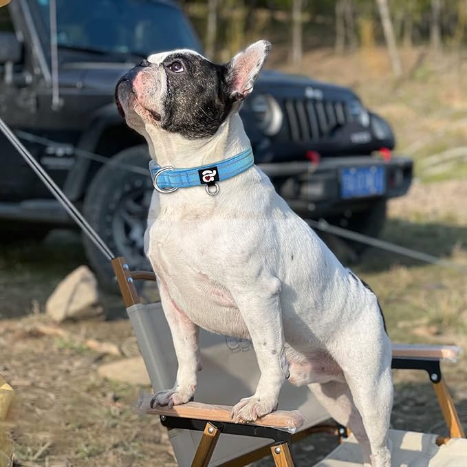 azuza Reflective Dog Collar