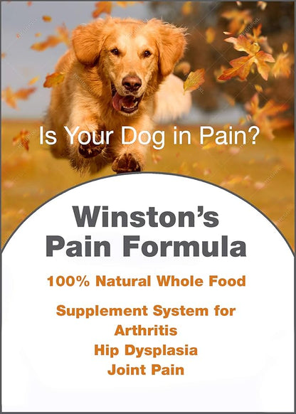 Winston's Pain Formula - for Dogs of All Ages and Sizes - 100% Natural Whole Food Supplement to Help Alleviate: Canine Arthritis, Inflammation and Joint + Hip Pain - 120 Chewable Tablets