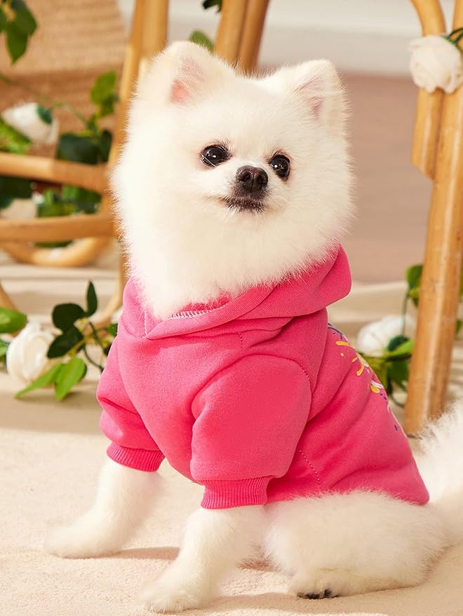 QWINEE Cartoon Bear Print Cat Hoodie Breathable Stretchy