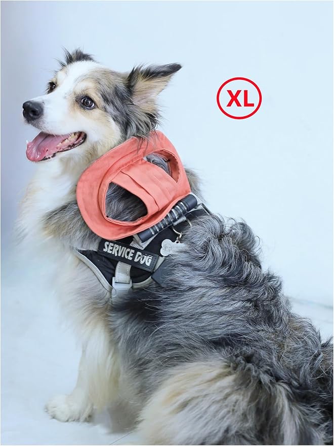 Generic Solid Dog Hat with Ear Hole Round