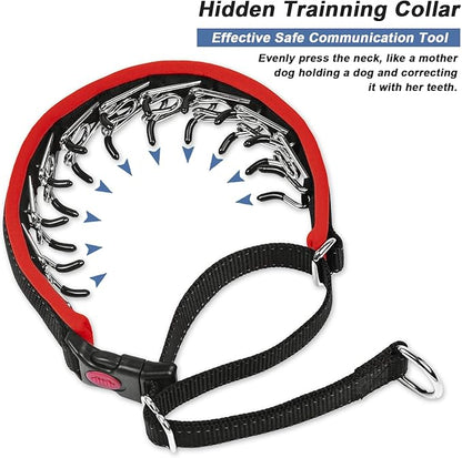 Martingale Collar for Dogs