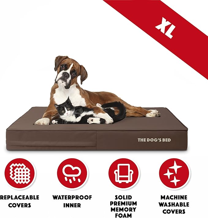 The Dog’s Bed Orthopedic Memory Foam Dog Bed 64x44, Pain