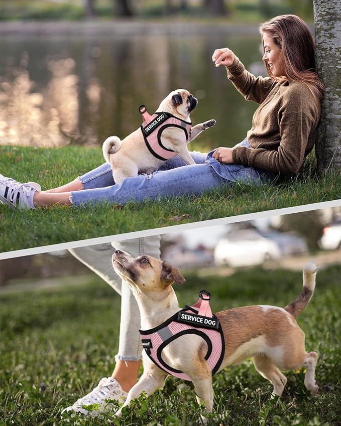 FAYOGOO Service Dog Vest for Small Breed - Lightweight Dog Harness with 6PCS Removable Patches - Puppy Harness and Leash Set for Walking,Training